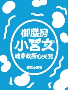 御膳房小宫女魂穿教授心尖宠